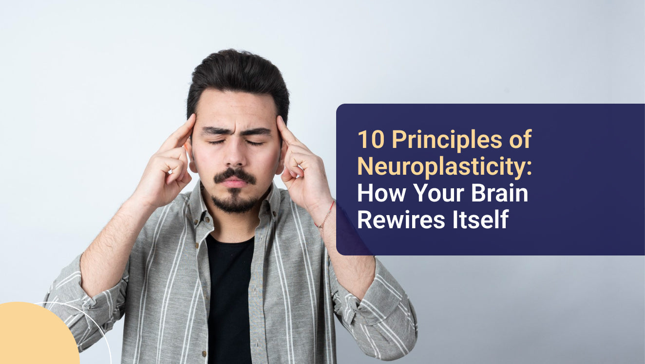 10 Principles of Neuroplasticity: How Your Brain Rewires Itself