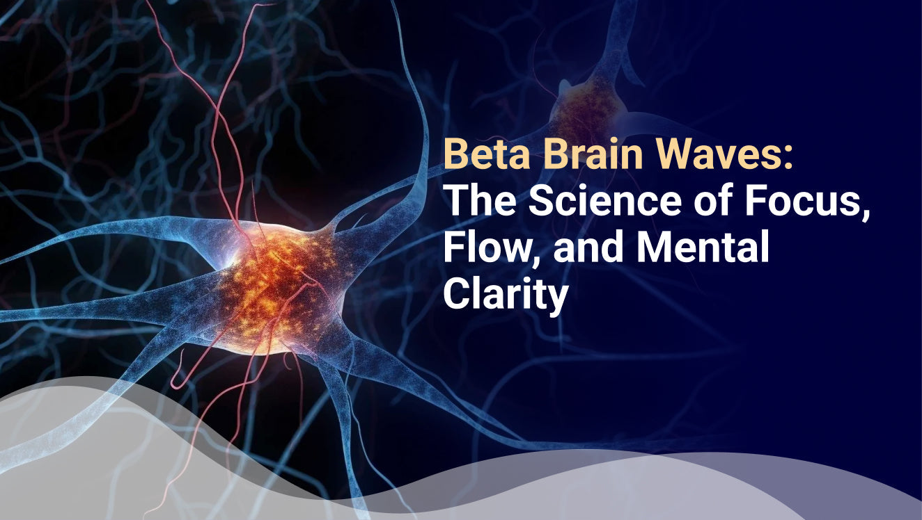 Beta Brain Waves The Science of Focus, Flow, and Mental Clarity