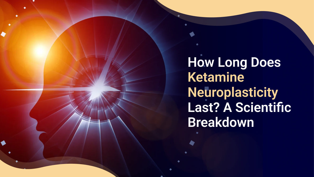 How Long Does Ketamine Neuroplasticity Last? A Scientific
