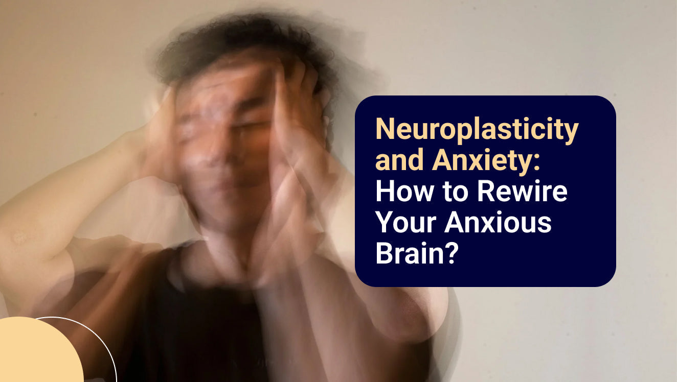 Neuroplasticity and Anxiety: How to Rewire Your Anxious Brain?