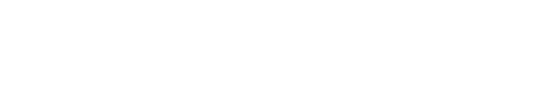 Official white NeuroVIZR logo for 2024