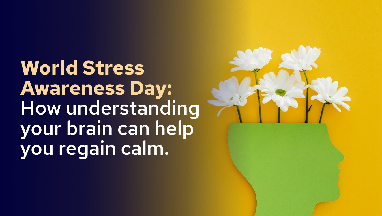 World Stress Awareness Day How understanding your brain can help you regain calm